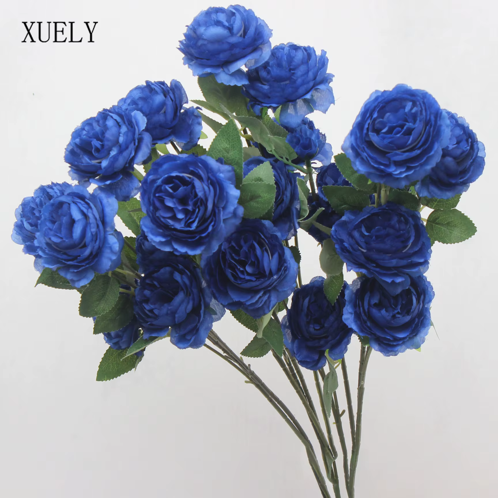 Fleurs de la série bleu royal