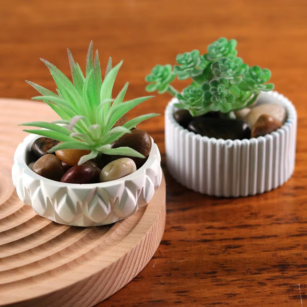 Pot de fleur succulente en Pot