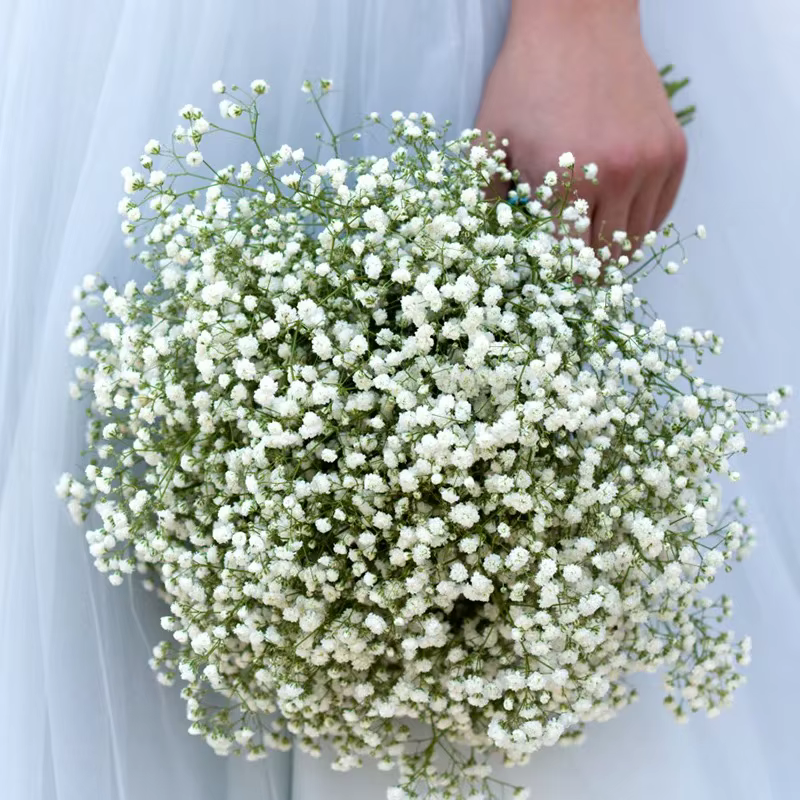 Fleur artificielle en plastique Gypsophila pour extérieur