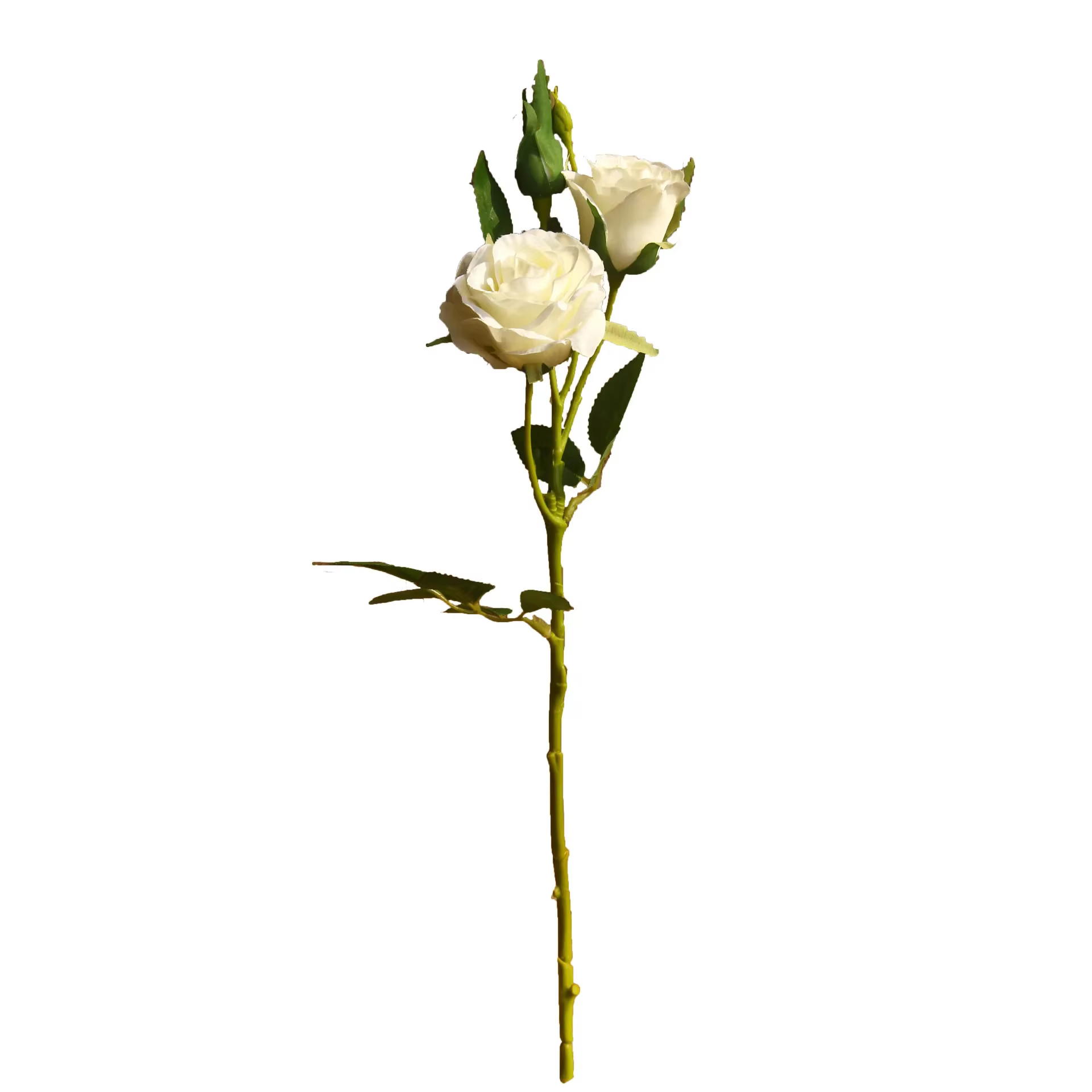 Ensemble de fleurs artificielles pour la décoration de la maison