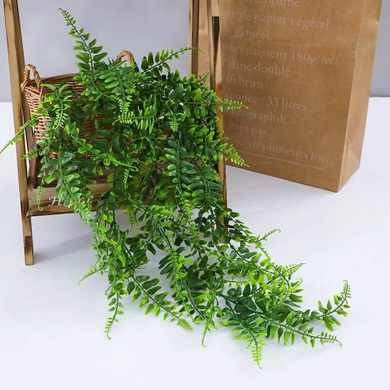 Plante persane feuilles de fougère vignes