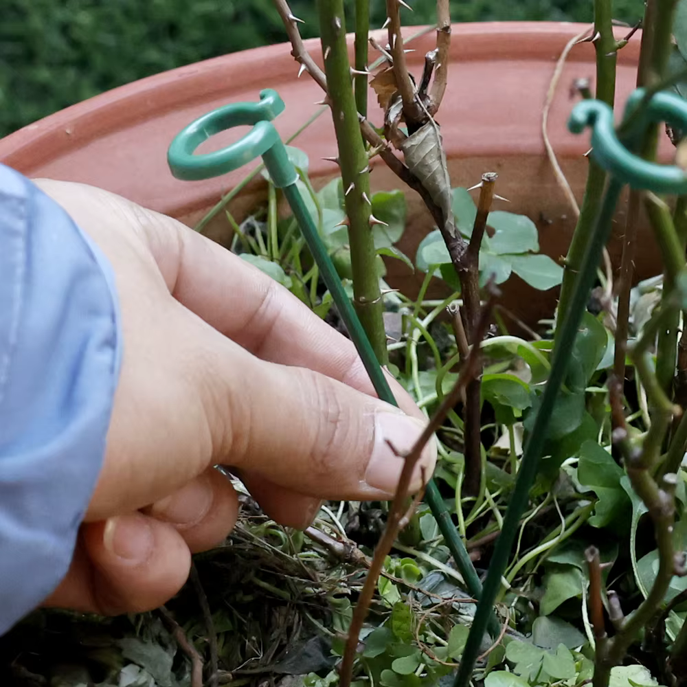 Tiges de Support pour plantes en plastique