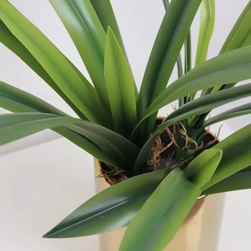 Feuilles de clivia artificielles décoratives d'étude