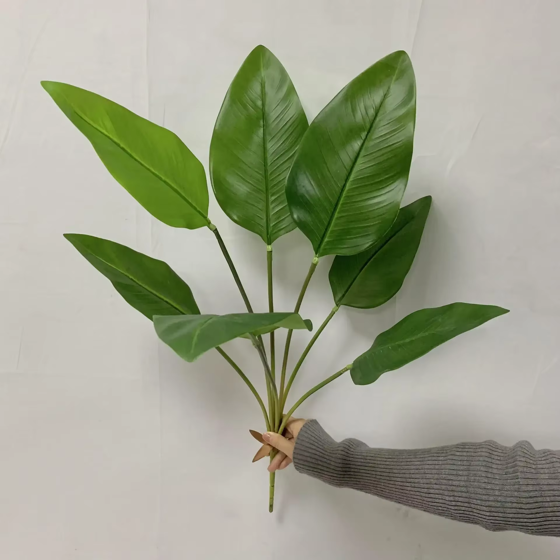 7 feuilles de plantein vert à main