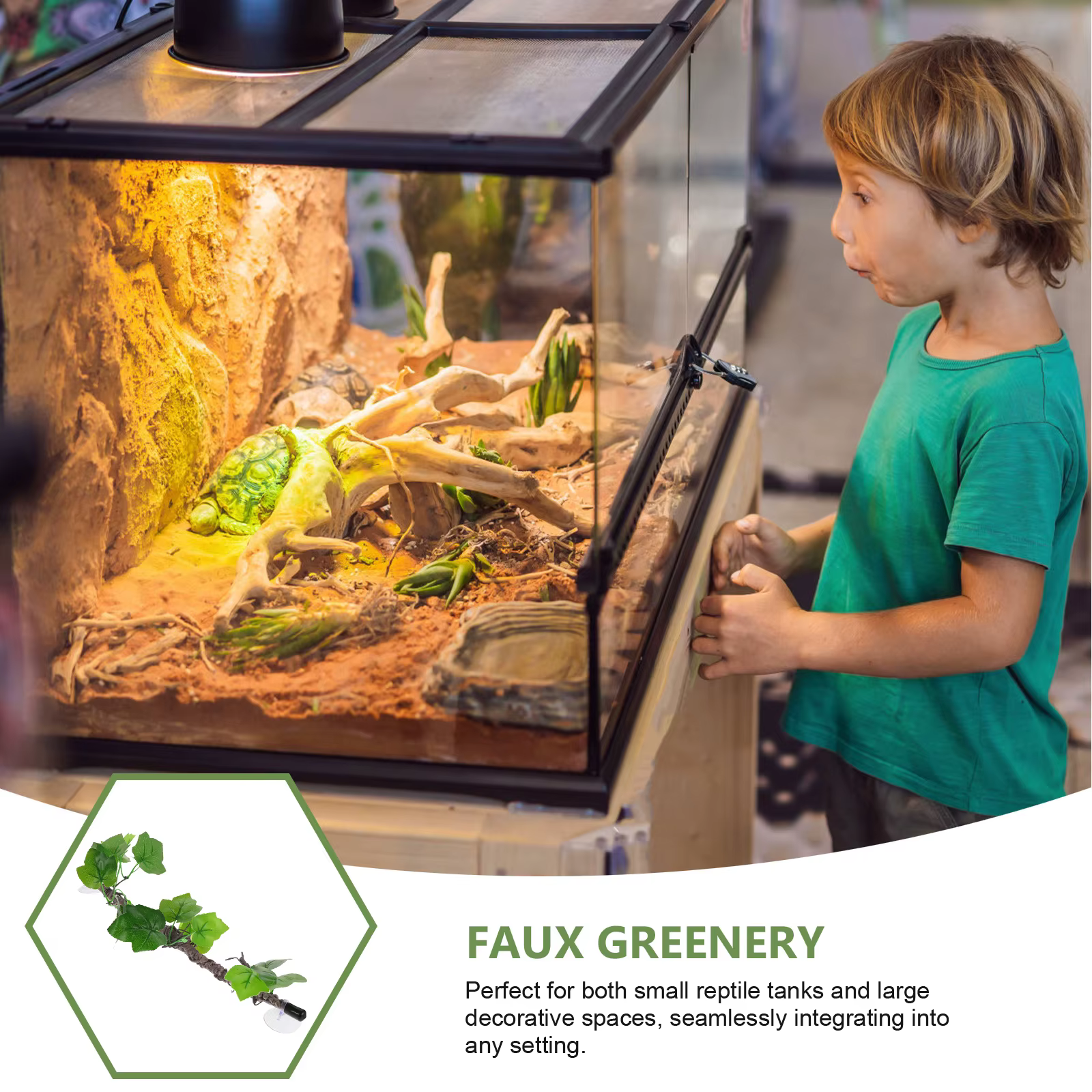 Branches de Reptiles, vignes de Jungle