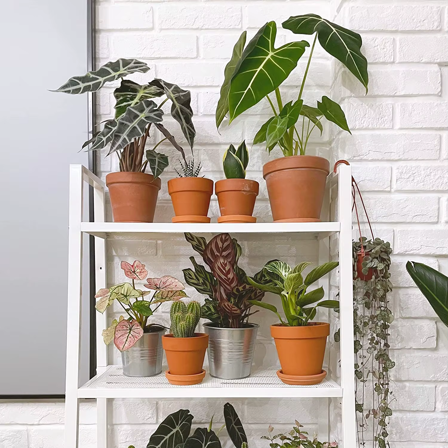 Poterie en terre cuite avec trou de proximité