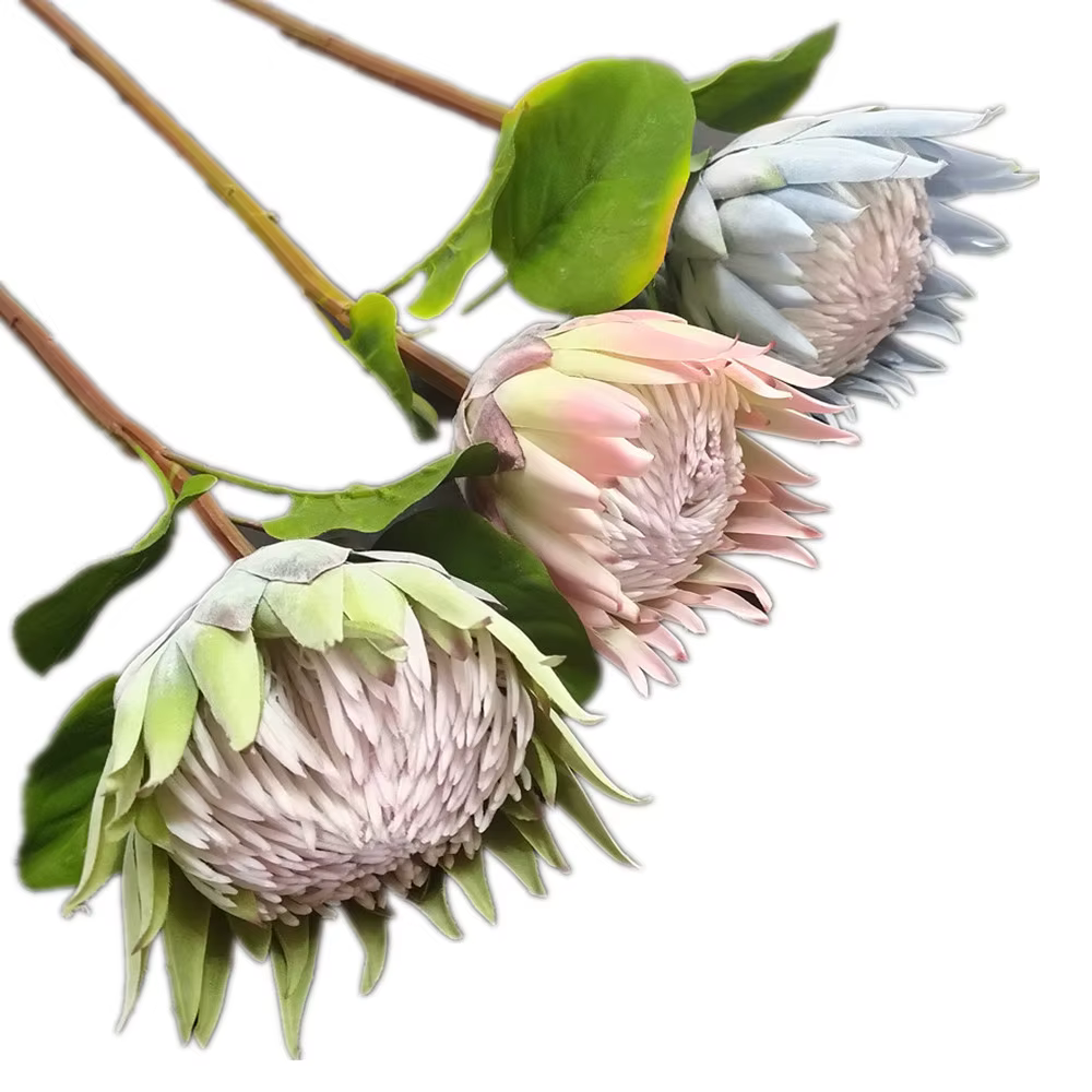 InjProtea-Branche de Fleur Artificielle de Cyovale oides