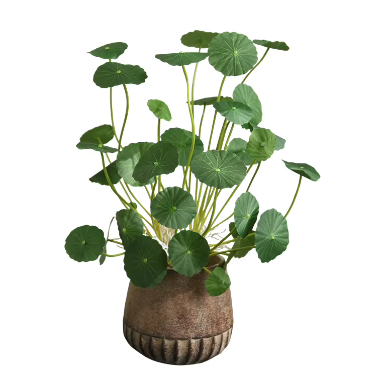 Plantes artificielles de lotus