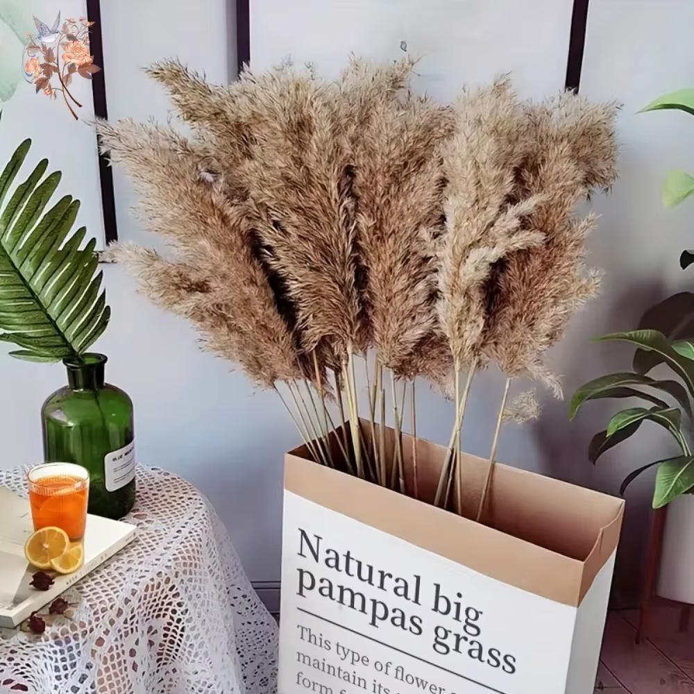 Bouquet d'herbe de la pampa séchée naturelle pour décoration bohème