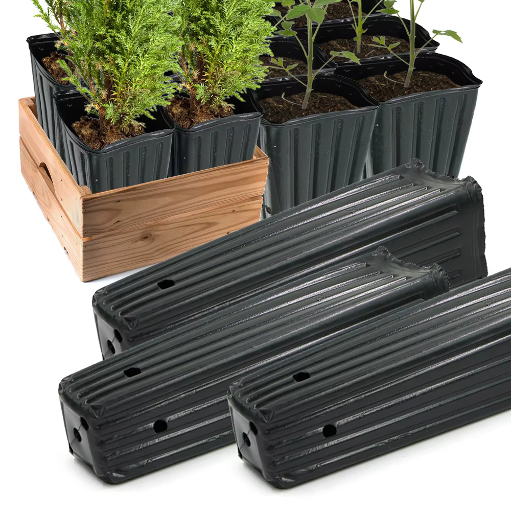 Pot d'arbre carré avec trous de Drainage