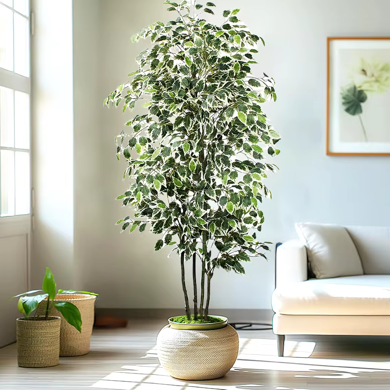 Grand arbre artificiel Ficus de 3 à 6 pieds