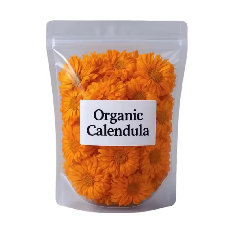 Calendula de camomille naturelle de qualité supérieure