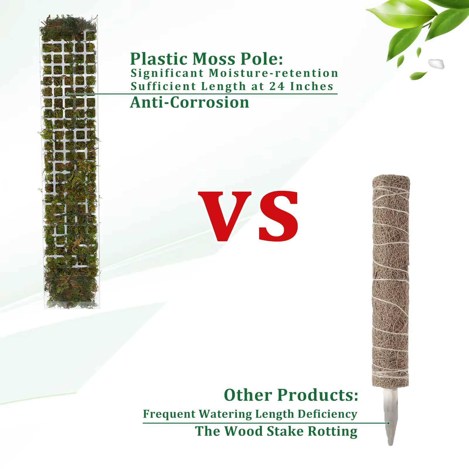 Support de Plantes en Plastique pour Plantes Grimpantes d'Intérieur