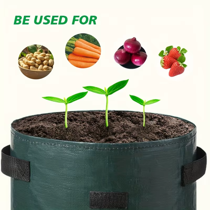 Outil de plantation de pommes de terre et de carottes