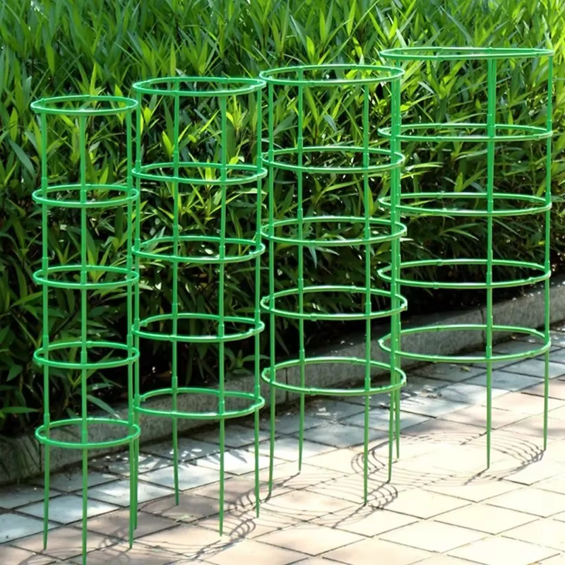 Support pour plantes vertes