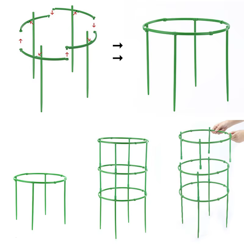 Support d'escalade de vigne verte