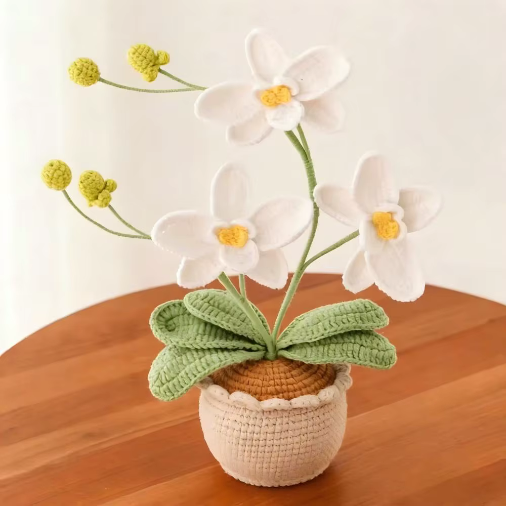 Nouvelle plante en pot en laine