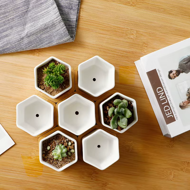 Pot de fleurs en céramique hexagonale blanche