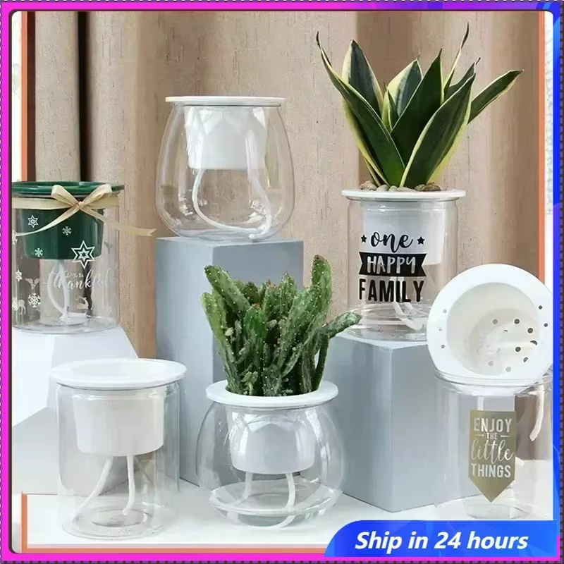 6 pots auto-arrosants, mini pots ronds pour plantes succulentes