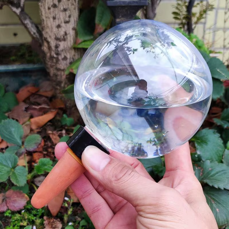 Globes d'arrosage automatique 500ml