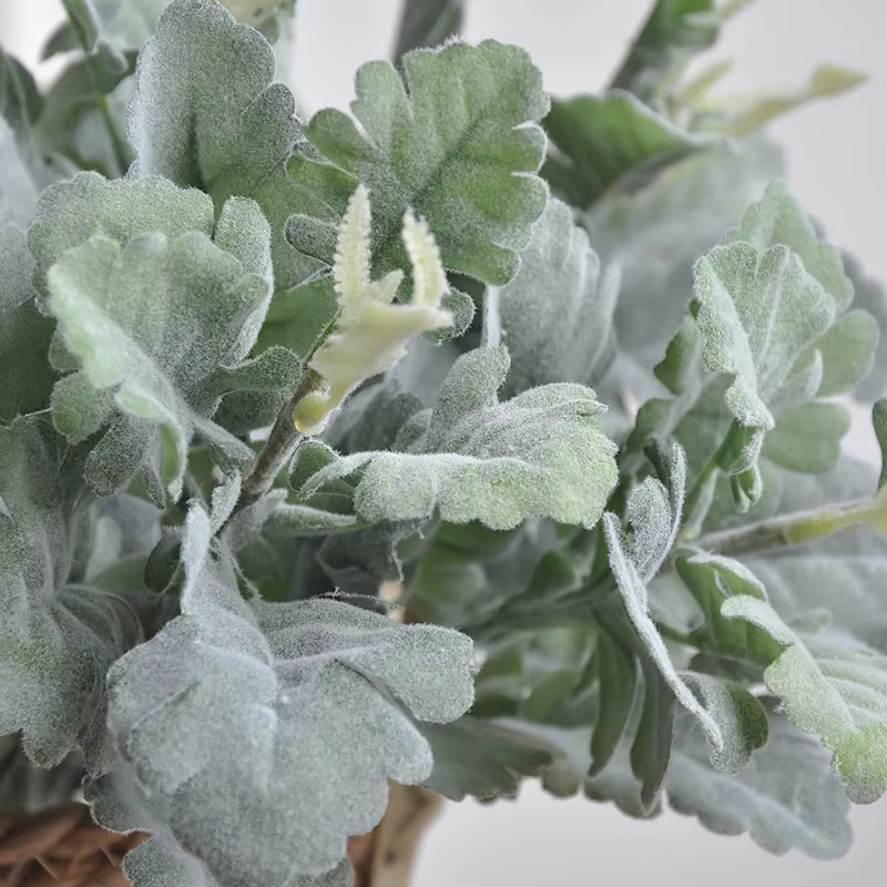 Plante artificielle de Senecio Cineraria