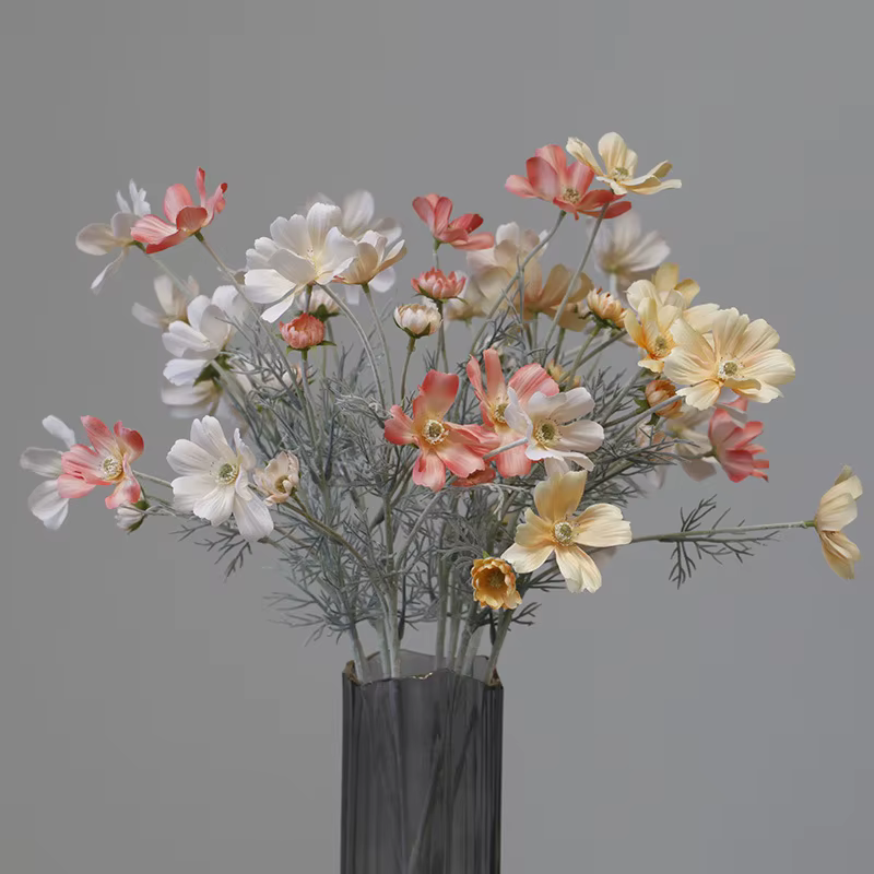 Branche de cosmos de chrysanthème pastoral