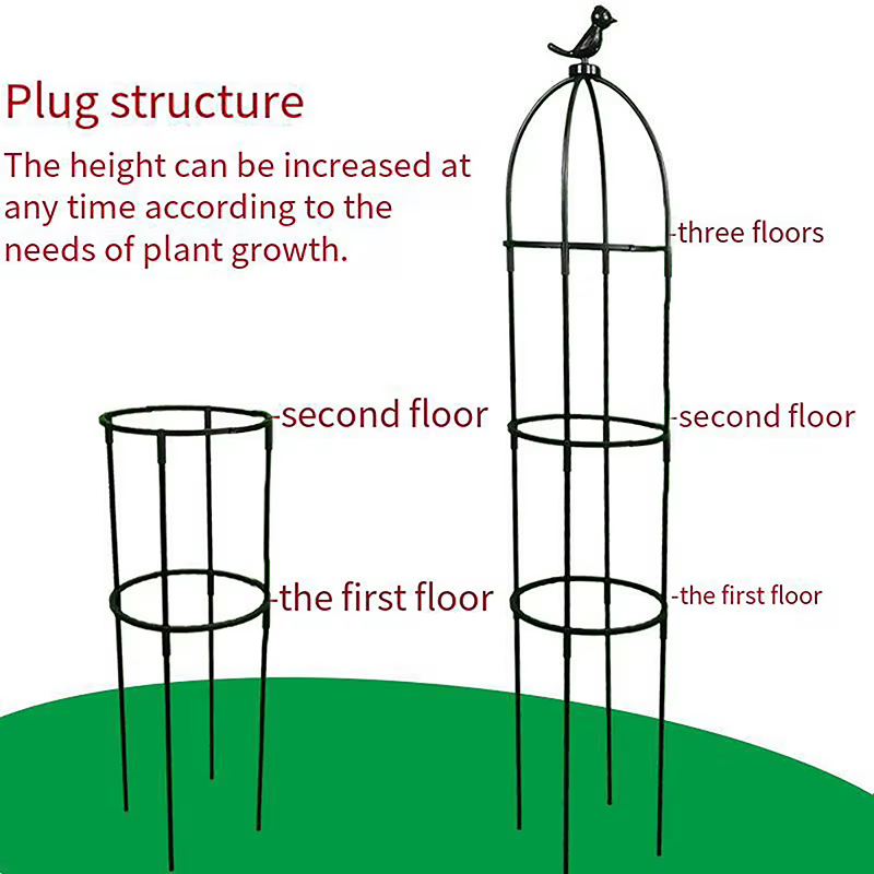1 Ensemble de treillis de support pour plantes grimpantes