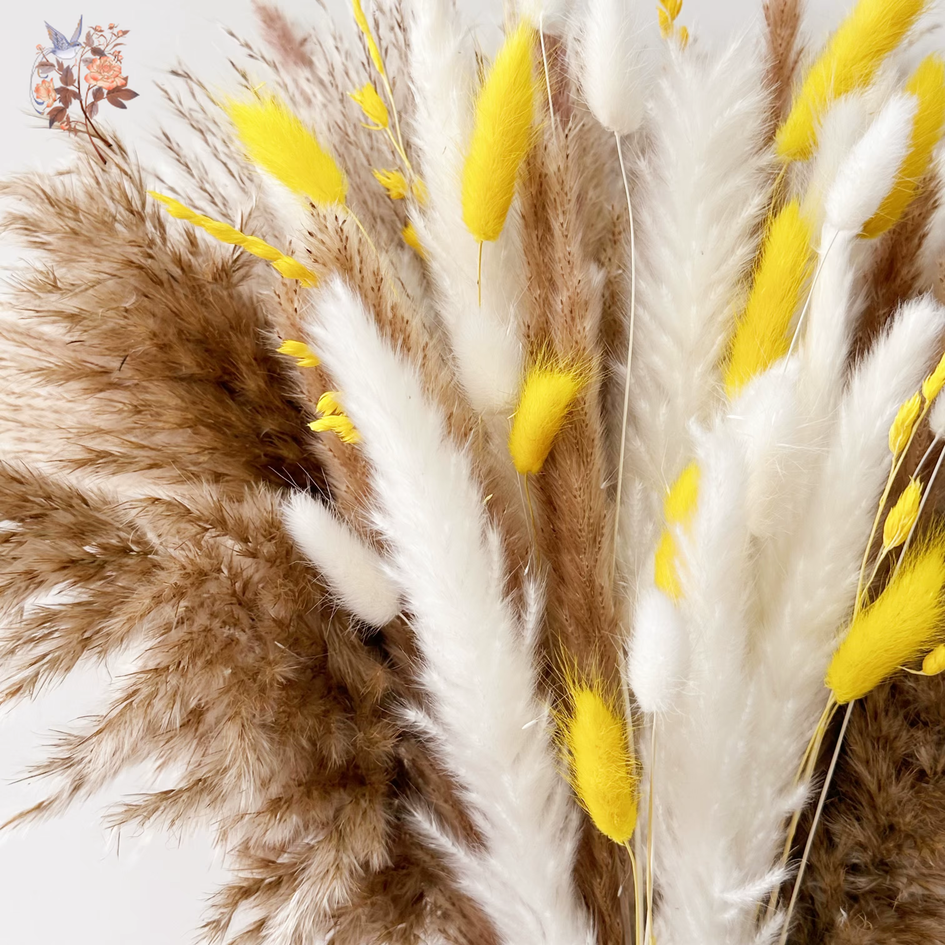 Bouquet de Pampas jaunes à fleurs sèches naturelles