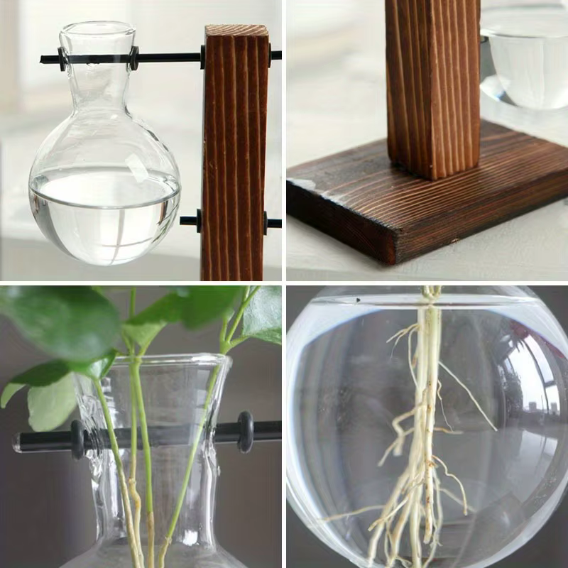 Vase en verre hydroponique