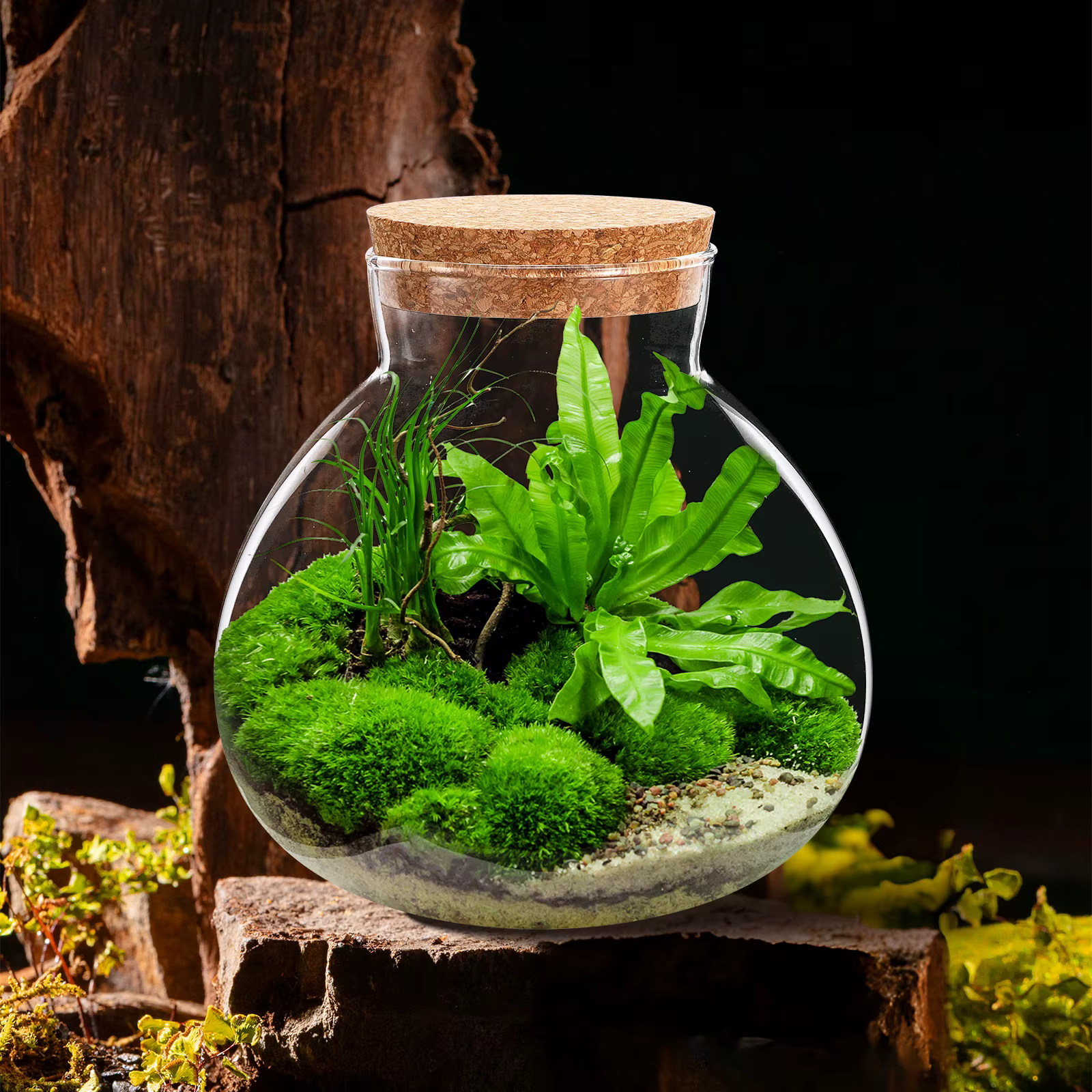 Bouteille écologique 15Cm X 16Cm