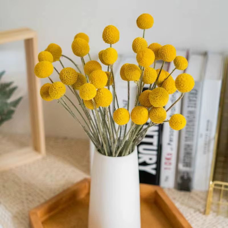 Fleur de tulipe artificielle séchée