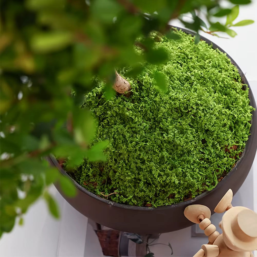 Mousse artificielle de simulation de micro paysage pour plantes en pot