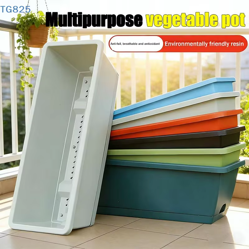 Pot de fleurs auto-absorbant pour culture de légumes d'intérieur avec trou de drainage et corde absorbante