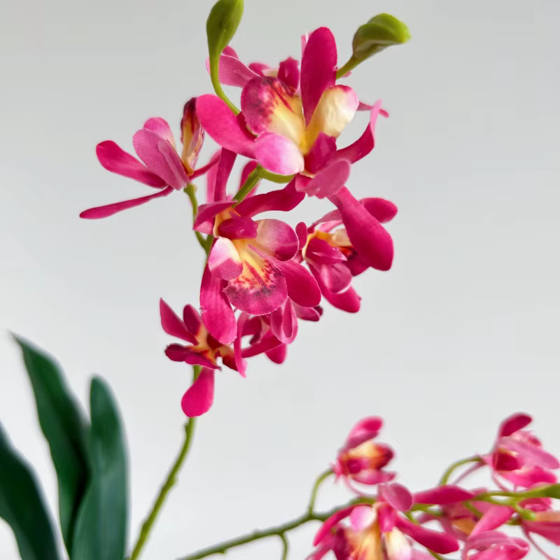 Orchidées artificielles au toucher réel