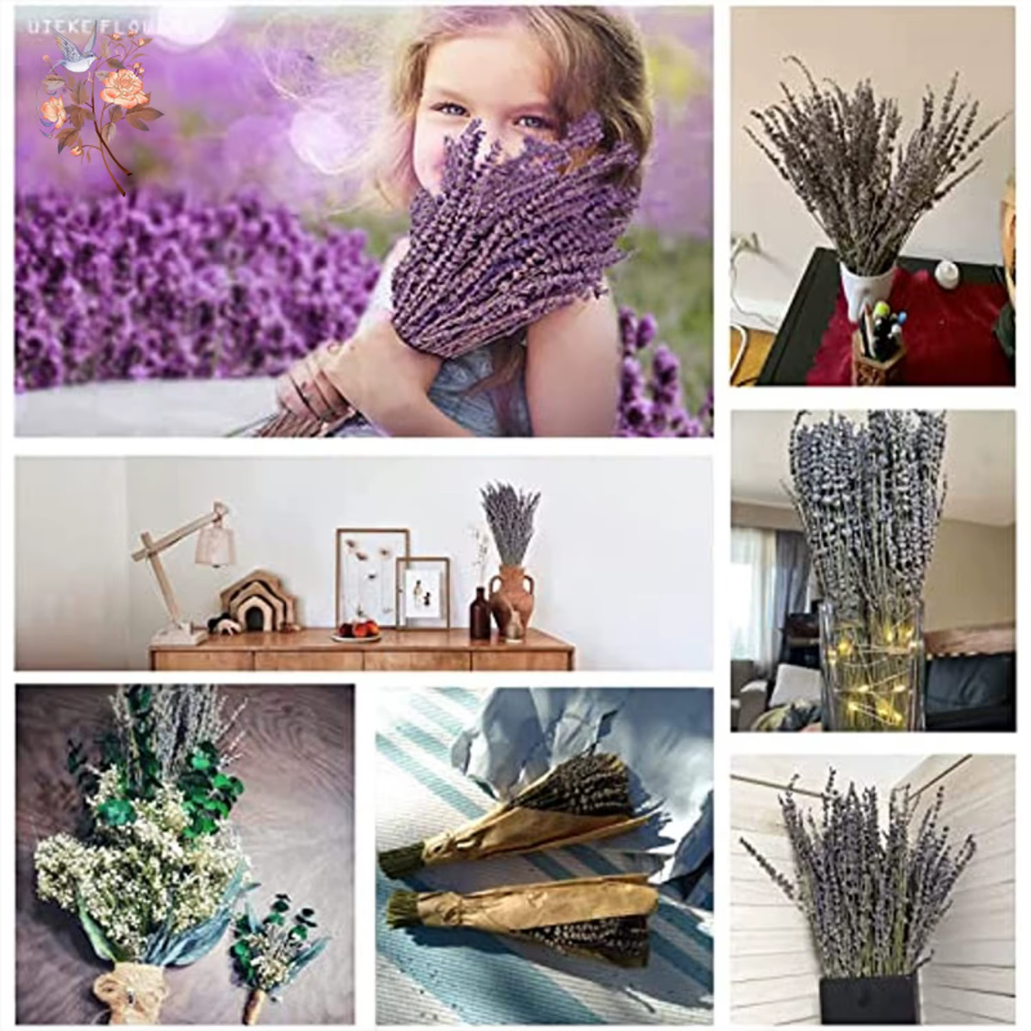 Bundles de fleurs de µséchées naturelles