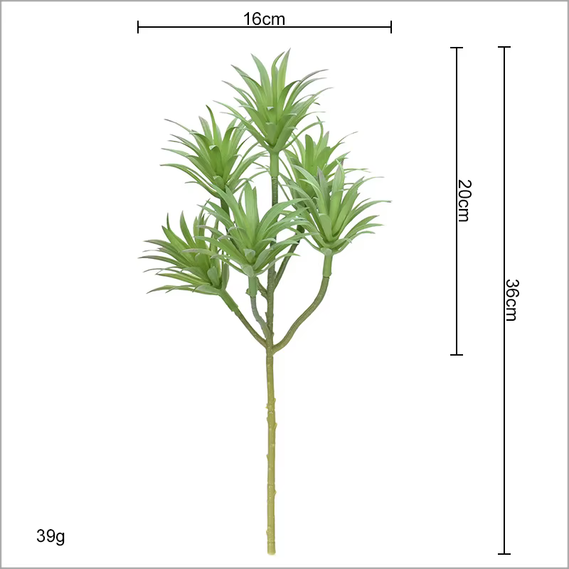 Simulation de plantes vertes du désert tropicaux
