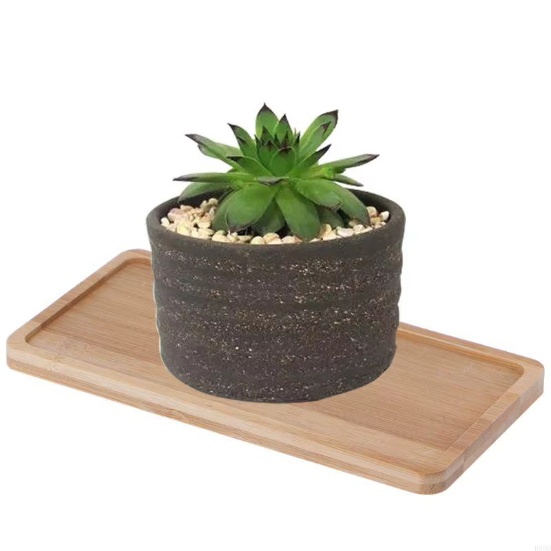 E8BD Bamboo Flower Pot Plante Plant