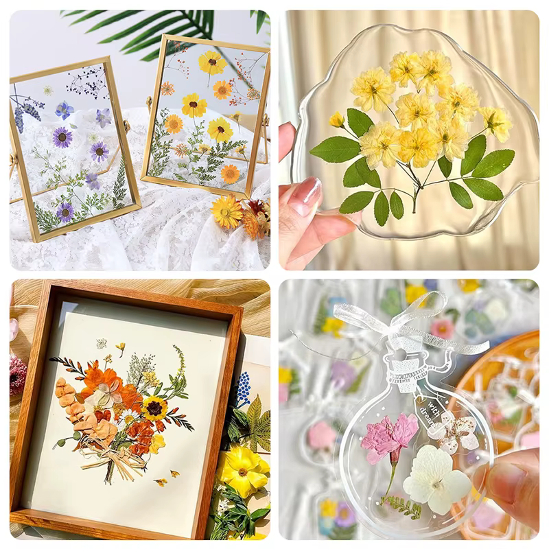 Kit de presse à fleurs en bois