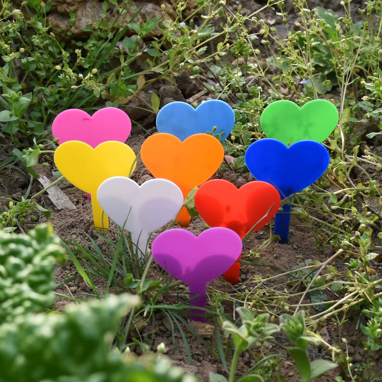 Étiquettes de plantes imperméables