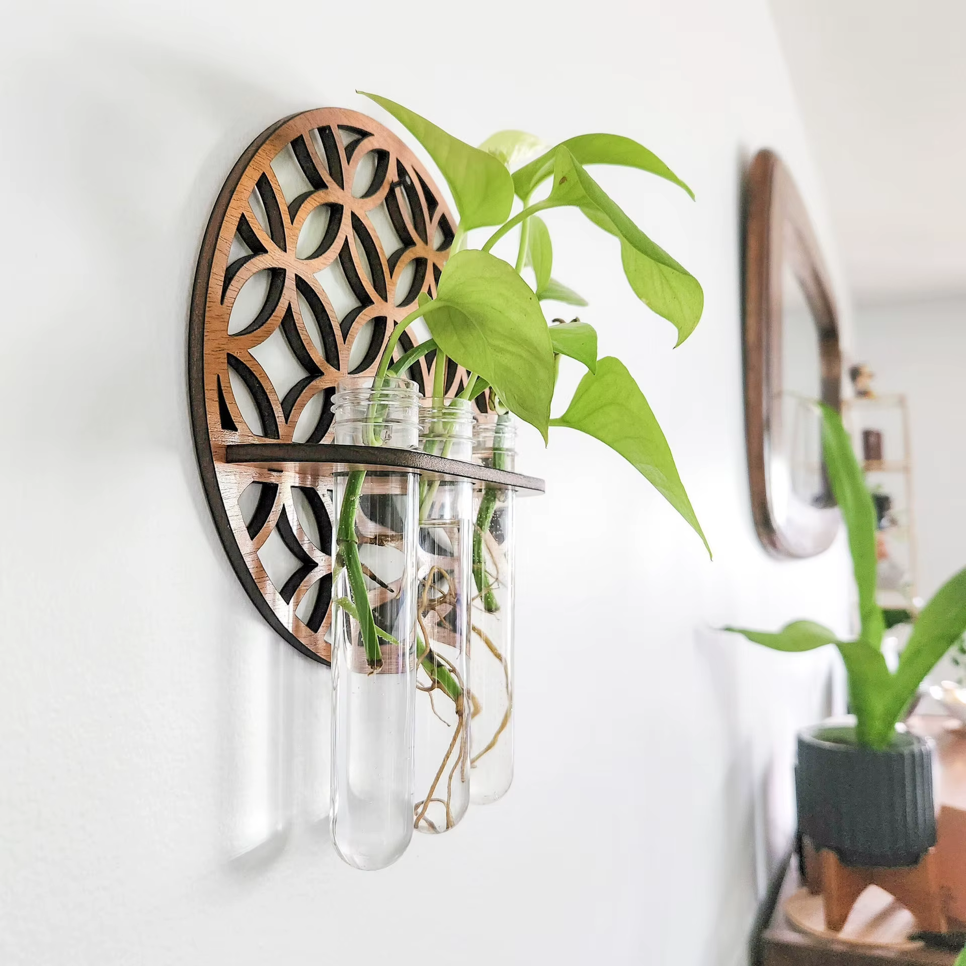 Terrarium vertical avec verre pour plante