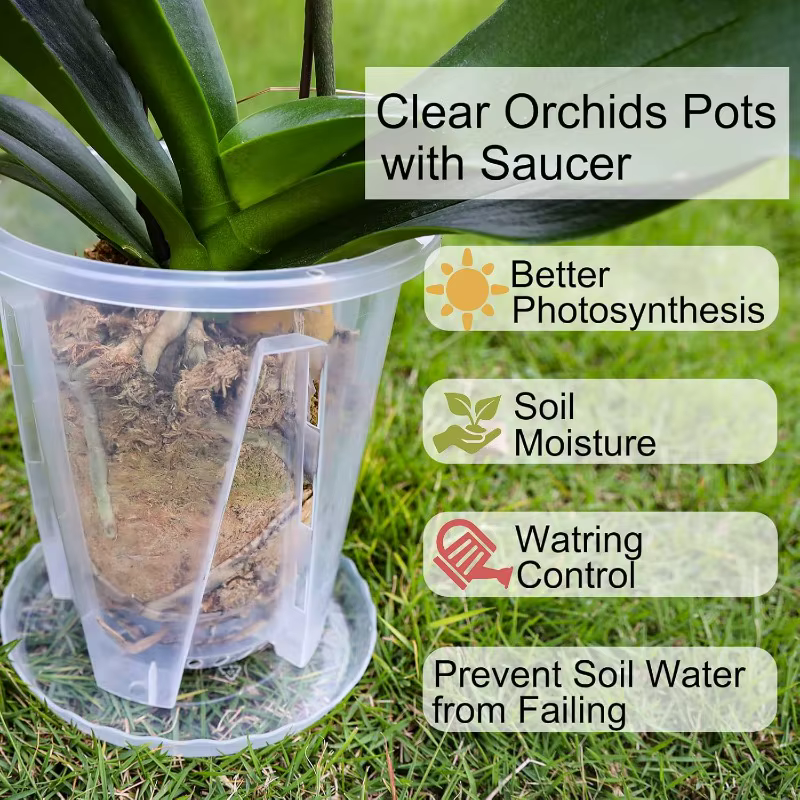 Pot de plantes d'orchidées Transparent