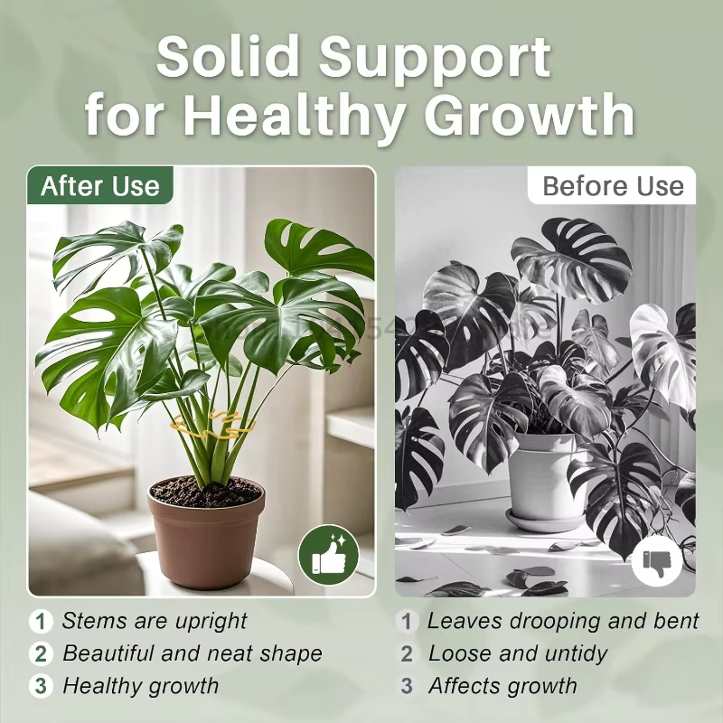 Support robuste pour grande plante Monstera