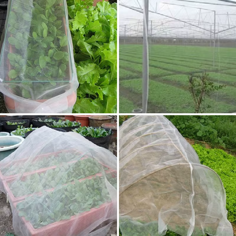 Filet de protection contre les insectes pour plantes de jardin