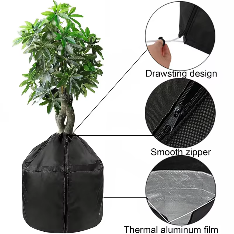 Housses de protection hivernale pour plantes