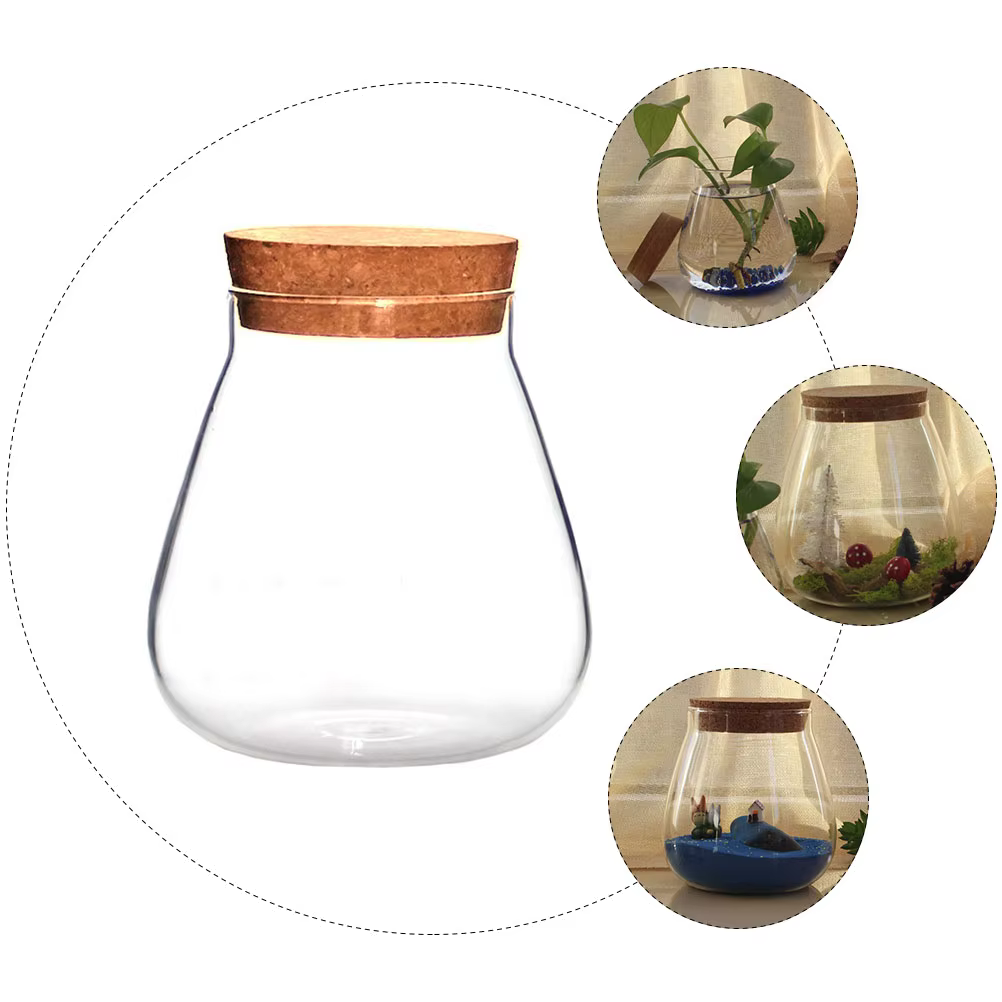 Bocaux de Terrarium en Verre avec Bouchon de Liège