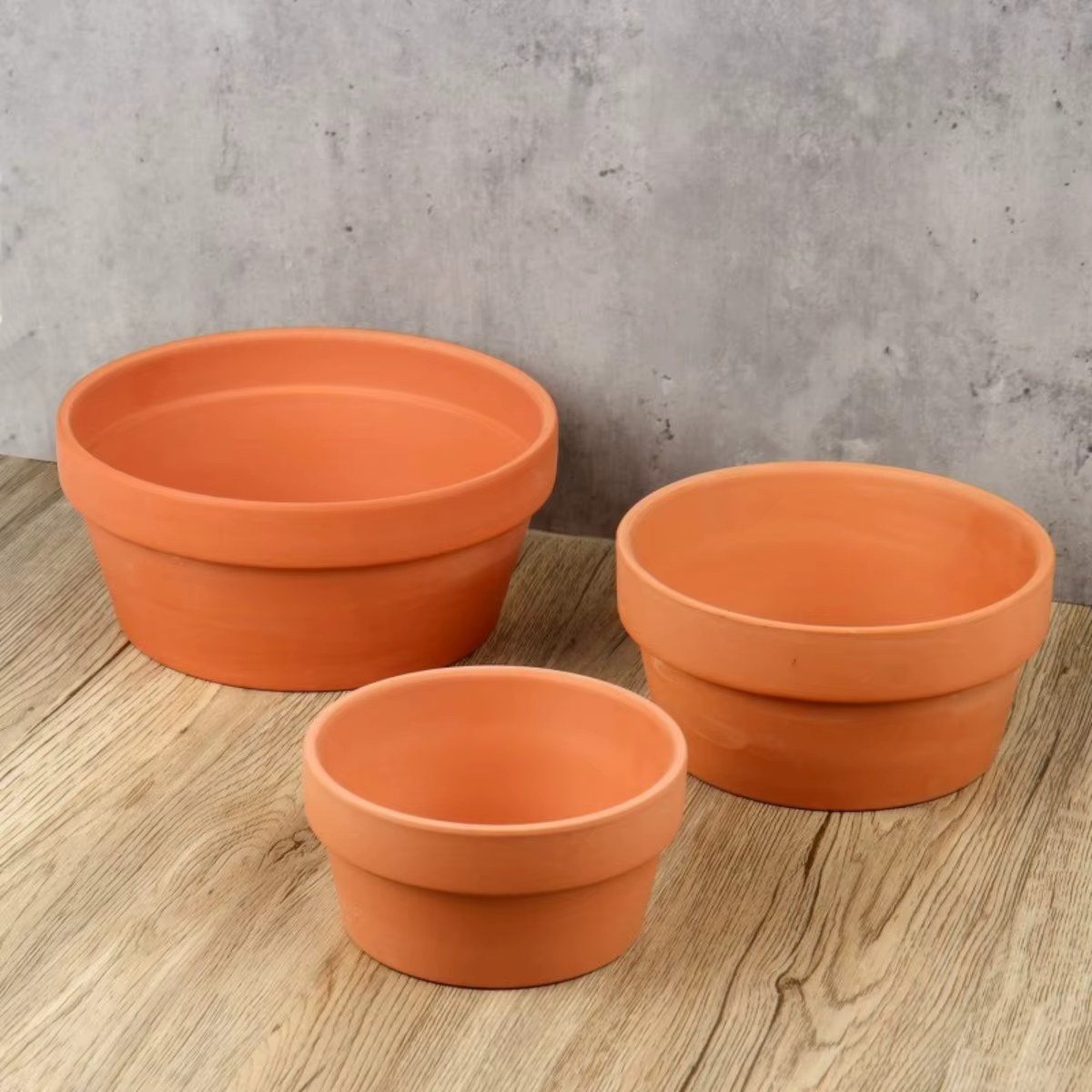 Pots peu profonds en terre cuite