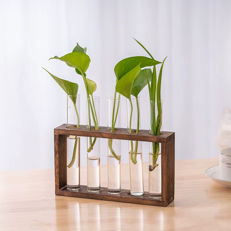 Conteneur de plantes hydroponiques avec cadre en bois