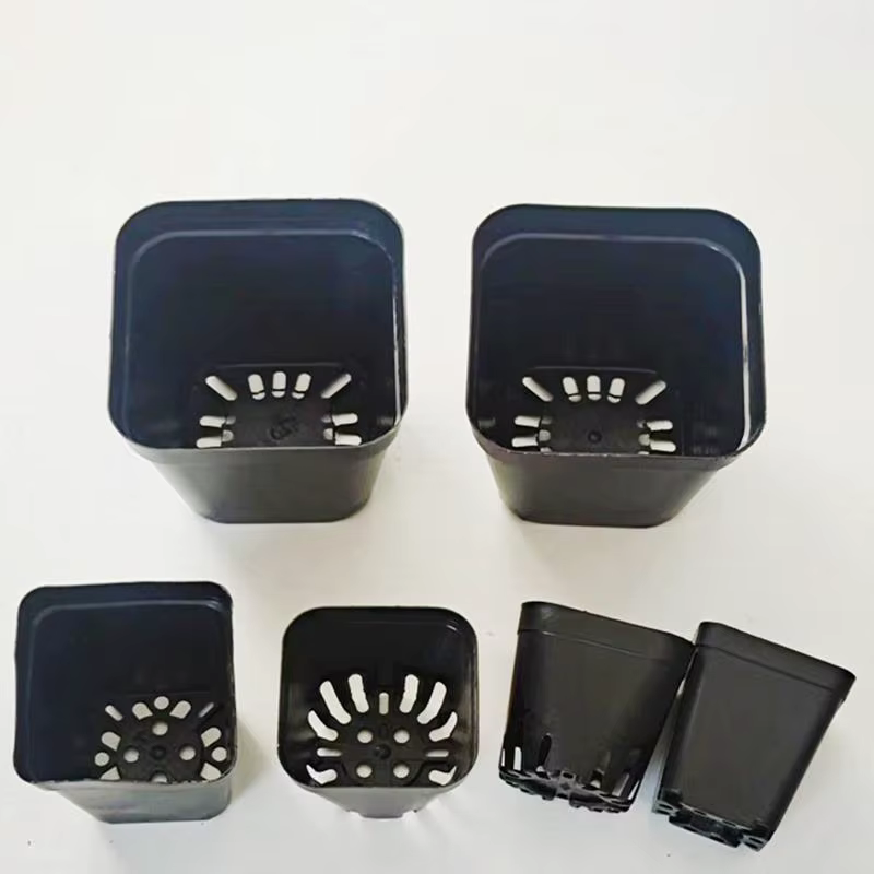 Pots de semis 50 pièces carrés plante semis-gobelet de plantation en plastique pépinière profonde arbre Pot fleur