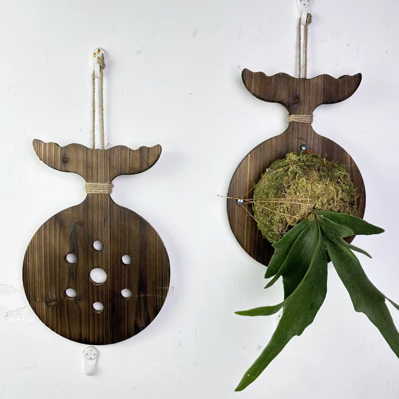 Nouvelle Planche Murale en Bois pour Plantes