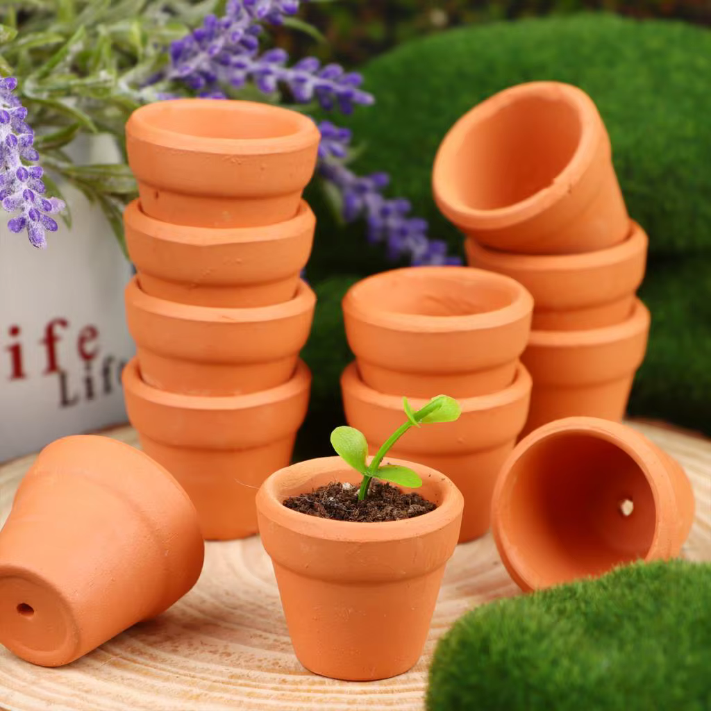 Mini jardinière en argile avec trous de proximité